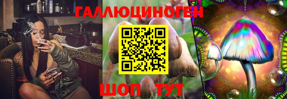 Галлюциногенные грибы GOLDEN TEACHER  Вход с VPN  Арзамас 