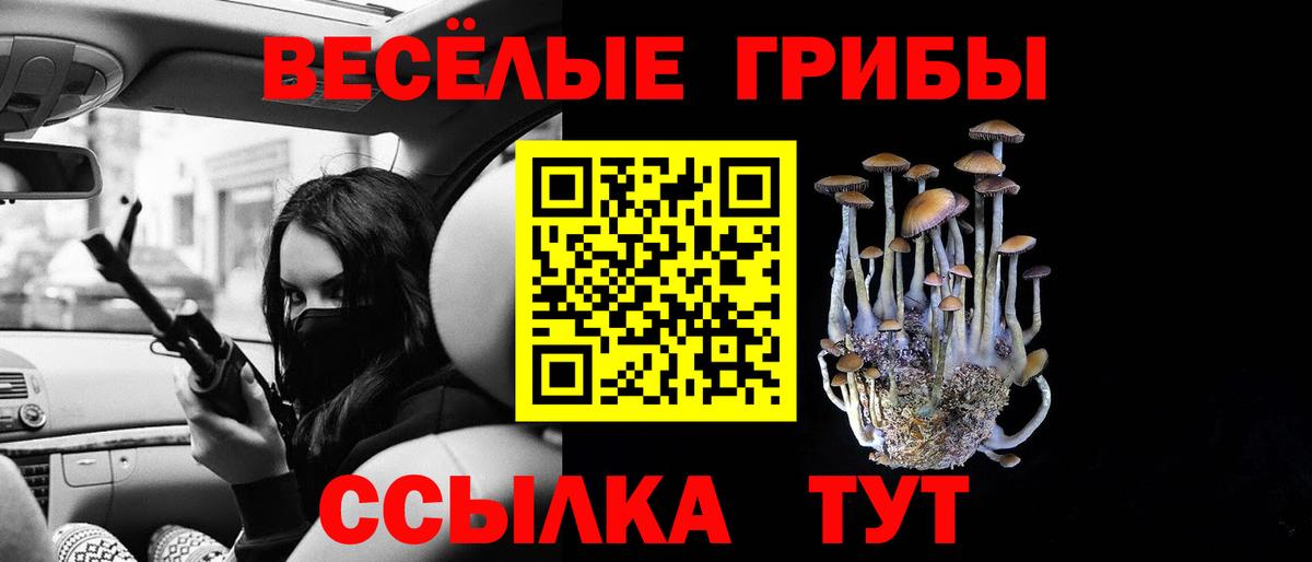Псилоцибиновые грибы MAGIC MUSHROOMS Арзамас